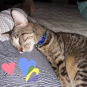 Meet your Posher, Claire